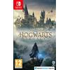 Warner Bros Hogwarts Legacy Switch UK