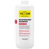 ALFAPARF MILANO ALFAPARF Yellow Color Care Maintenance Shampoo 1000ml