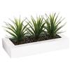 WELL HOME MOBILIARIO & DECORACIÓN WELL HOME - Centrotavola decorativo con 3 piante Aloe Vera H.17 cm