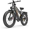 LANKELEISI MG800Max Motore Doppia 26 pollici Pneumatici Grassi Bicicletta Elettrica da Tutto Terreno (Grigio)
