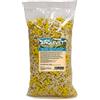Arquivet Puppy Mix Biscotti per cani, Adatto come Snack o Ricompense, 2,5 Kg