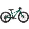 Specialized Specialized Riprock 20'' bimbo verde