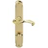 Alpertec Bianca, Set maniglia per porta WC, in ottone lucidato satinato 32340113