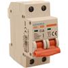 A2ZWORLD MCB Interruttore Magnetotermico Automatico Curva B 2P 2M 6000A B40A AC 400V IP20 IEC60898-1 SB6L