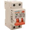 A2ZWORLD RCBO Doppia Leva, Interruttore Magnetotermico Differenziale Tipo AC Curva C 1P+N 2M 6000A 30mA C10A AC 230V IP20 IEC61009-1 PL8HM