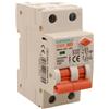 A2ZWORLD RCBO Doppia Leva, Interruttore Magnetotermico Differenziale Tipo A Curva C 1P+N 2M 6000A 300mA C10A AC 230V IP20 IEC61009-1 PL8HM