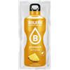 BOLERO PINEAPPLE 9G