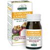 GIORGINI Dr. Giorgini Garcinia Cambogia estratto titolato 60 pastiglie