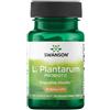Swanson Health Products L. Plantarum Probiotico 10 miliardi di CFU 30 capsule vegane Embo
