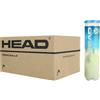 Head Scatola Head Pro Cartone 18 tubi da 4