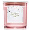 DW Home Winter Wonderland Sugared Apple 374 g