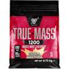 BSN True Mass 1200, Mass Gainer in Polvere con Proteine Whey Isolate e Carboidrati, Aumento di Peso, Crescita Muscolare e Recupero Post-Allenamento, Gusto Gelato alla Vaniglia, 15 Porzioni, 4.8 kg