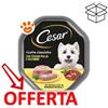 Cesar Dog Ricette Classiche con Pollo e Tacchino in Patè - Vaschetta Da 150 Gr - CONFEZIONE RISPARMIO