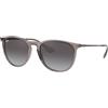 Ray-Ban Erika Color Mix RB 4171 (65138G)