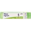 Boiron Ribes Nigrum 5ch Granuli