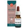 ERBA VITA GROUP SPA Pino Mugo Olio Essenziale 10 Ml
