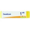 Causticum boi*1mk gl 1g - BOIRON - 048086387