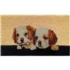 BANZAII TEXTILE INNOVATOR ONLINE Banzaii Zerbino Ingresso Casa in Fibra di Cocco 40x70 cm, Tappeto Porta con Base Antiscivolo, Resistente e Ideale per Interno ed Esterno - Dogs