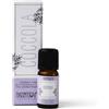 HP ITALIA Srl SINERGIA+OLI ESS COCCOLA 10ML