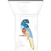 PUPA OCCHI #PARROT RIO