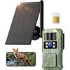 BECAMSO 4G LTE Telecamera Esterno Solare Fototrappola: 2.7K HD Fotocamera Visione Notturna Colori - Telecamere Esterno Impermeabilità IP66 Batteria 8000mAh con Sim