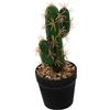 BESTYASH Pianta Artificiale Cactus in Vaso Plastica Resistente Decorazione per Interni Bonsai Finto per Scrivania Mensola e Ufficio