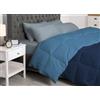 BIANCHERIAWEB Interno Imbottitura Piumino Invernale 300gr/mq in Piuma D'Oca Bicolor Matrimoniale Azzurro-Blu