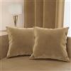 PETTI Artigiani Italiani - 2 Cuscini Arredo in Velluto con Imbottitura, Cuscino per Camera da Letto, Divano Salotto, con Federa a Sacco, Tortora 2 Pezzi - 65x65 cm