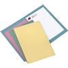 CART. GARDA 100 CARTELLINE SEMPLICI AZZURRO S/STAMPA 145GR
