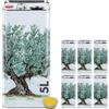 acquaverde | 6 Lattine per Olio di Oliva, Latta Bianca con Albero, in Metallo, Contenitore Alimentare da 5 Litri con Doppio Tappo e Maniglia