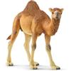 Schleich WILD LIFE | Dromedario 14832 | 14 x 4 x 10 cm | dai 3 anni