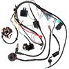 Riloer Riloe Bobina di accensione, Cablaggio CDI accensione kit, Kit Cablaggio Elettrico Bobina di Accensione CDI di Ricambio，Cablaggio Bobina Telaio Accensione, per 50cc 70cc 90cc 110cc 125cc avviamento