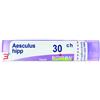 BOIRON SRL AESCULUS HIPPOCASTANUM 30 CH GRANULI 4G