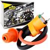 Area1 Bobina Accensione Racing/Tuning Scooter 2 Pin + Cappuccio Candela - Compatibile con SYM, GY6, Yiying, TGB, Nova, Motowell 139QMA/QMB