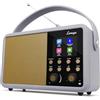 LEMEGA Class Finesse Radio Ddigitale DAB+ con Schermo a Colori - Radiosveglia Bluetooth con 60 Stazioni, Lunga Autonomia,Presa Cuffie, Alimentazione a Rete o Batterie,Audio Potenziato, Grigio medio
