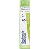 BOIRON Euphrasia off 5ch gr bo - 800022446 - igiene-e-salute/rimedi-omeopatici/globuli-e-granuli