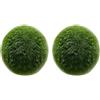LuckyOpt Set di 4 palline di alghe verdi, naturali, per acquario, decorate con palline di alghe verdi, 2 misure, (L)