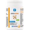 LABORATOIRE NUTERGIA Ergycebe 90 Capsule - Integratore Alimentare