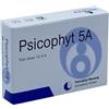 BIOGROUP SRL PSICOPHYT REMEDY 5A 4TUB 1,2G