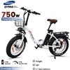 Bicicletta elettrica 750W Potente Motore 48V40AH Doppia Batteria Freno A Disco Idraulico E-bike 20*4.0-In Fat Tire Bici Elettrica Pieghevole - Disc Break