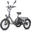 Fafrees F20 Mate Upgrade Bici elettrica pieghevole 500W 48V 21Ah 23.45Ah 20*3.0 Fat Tire 180kg Carico utile E-bike Freni a disco idraulici - 21Ah Gunmetal Black