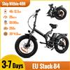 SUNNIGOO B4 ebike Bici elettrica pieghevole 48V 12,5Ah Batteria rimovibile Gamma 50-80 km 20'' × 4.0'' Fat Tire E-Bike a 7 velocità per qualsiasi terreno - Green