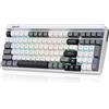 Redragon K656 PRO Tastiera meccanica da gioco RGB wireless a 3 modalità sostituibile a caldo 100 tasti, 3 strati di smorzamento del rumore -