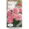 Verdica Semi di geranio rosa salmone Pelargonium zonale - Deliziosi fiori annuali, perfetti per letti e balconi, altezza 25-30 cm, prospera in pieno sole, confezionato in modo sostenibile