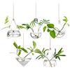 Glasseam Grande vaso da appendere in vetro, per piante grasse, terrario, per interni ed esterni, set da 3 pezzi, con corda per casa, giardino, lampadina+triangolo+gocce d'acqua, 5Pc/Set