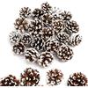 GZGXKJ 32pz Mini Pigne Natalizie 3-4 cm Pigne di Pino Naturale Natalizie Decorazione per il Fai da te Halloween Natale Autunno Giorno del Ringraziamento Decorazione Invernale