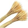 DongArts 180 pz grano naturale essiccato Bundle Flower Arrangement casa tavolo festa di nozze centrotavola decorativo