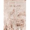 OYFFL Frumento Reed Wall Art Canvas Paesaggio Fiore Pianta Pittura Soggiorno Quadri Moderni su Tela Pittura con Stampa nordica (40 * 60cm Senza Cornice,2)
