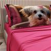 PETTI Artigiani Italiani - Lenzuola Animali con Cani in Cotone con Federe in Stampa Digitale, Lenzuola Matrimoniali Maxi, Completo Letto Matrimoniale Fucsia, 100% Made in Italy