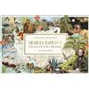 Skittledog The Voyage of Hms Beagle: Charles Darwin's Journey of Discovery: a 1000-piece Jigsaw Puzzle